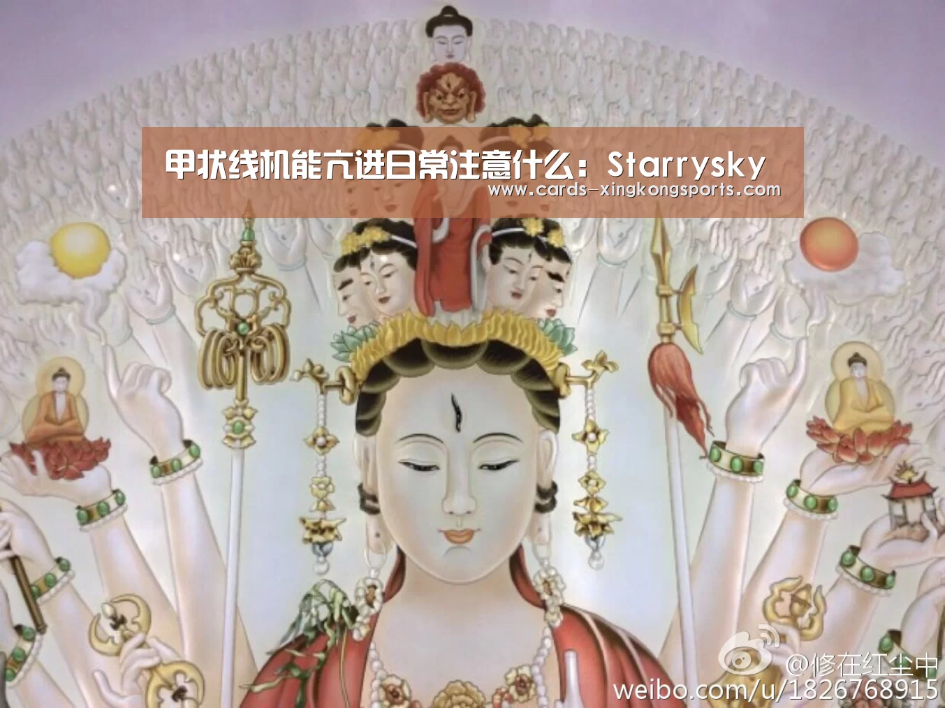 星空体育