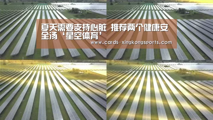 夏天需要支持心脏 推荐两个健康安全汤‘星空体育’(图2)