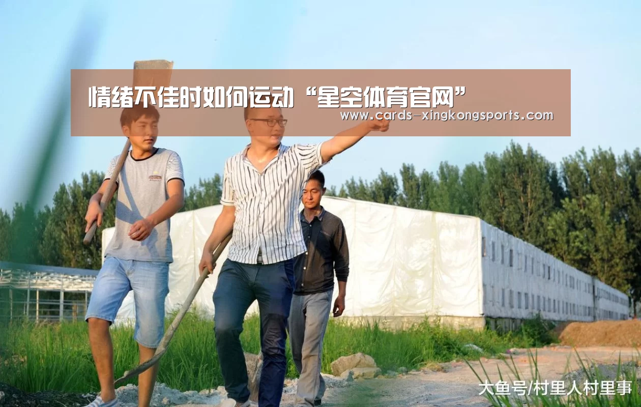 星空体育官网